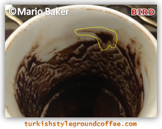 Turkish-coffee-reading-bird