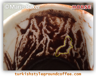 Turkish-coffee-reading-horse