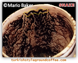 Turkish-coffee-reading-snake