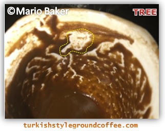 Turkish-coffee-reading-tree